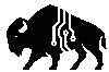 Bison Security Co