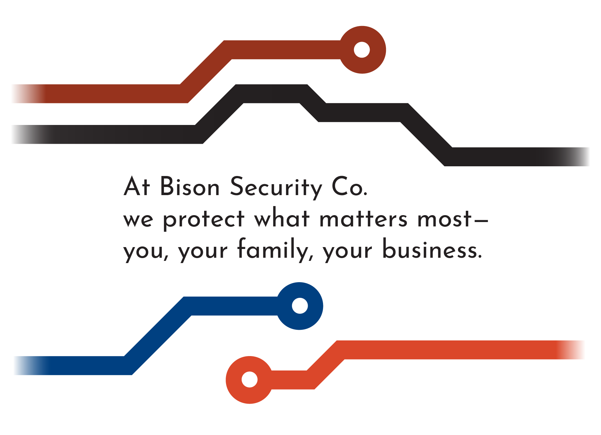 Bison Security Co.