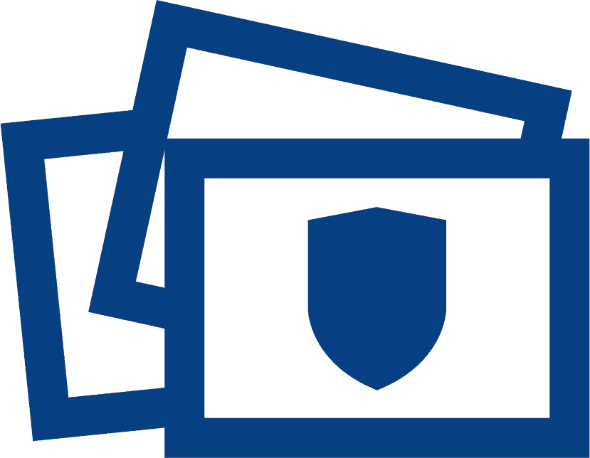 VIP Cyber Defense & Identity Protection